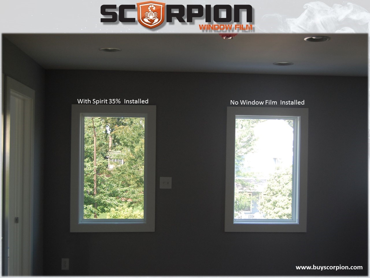 Home window with Scorpion tint and without Scorpion tint